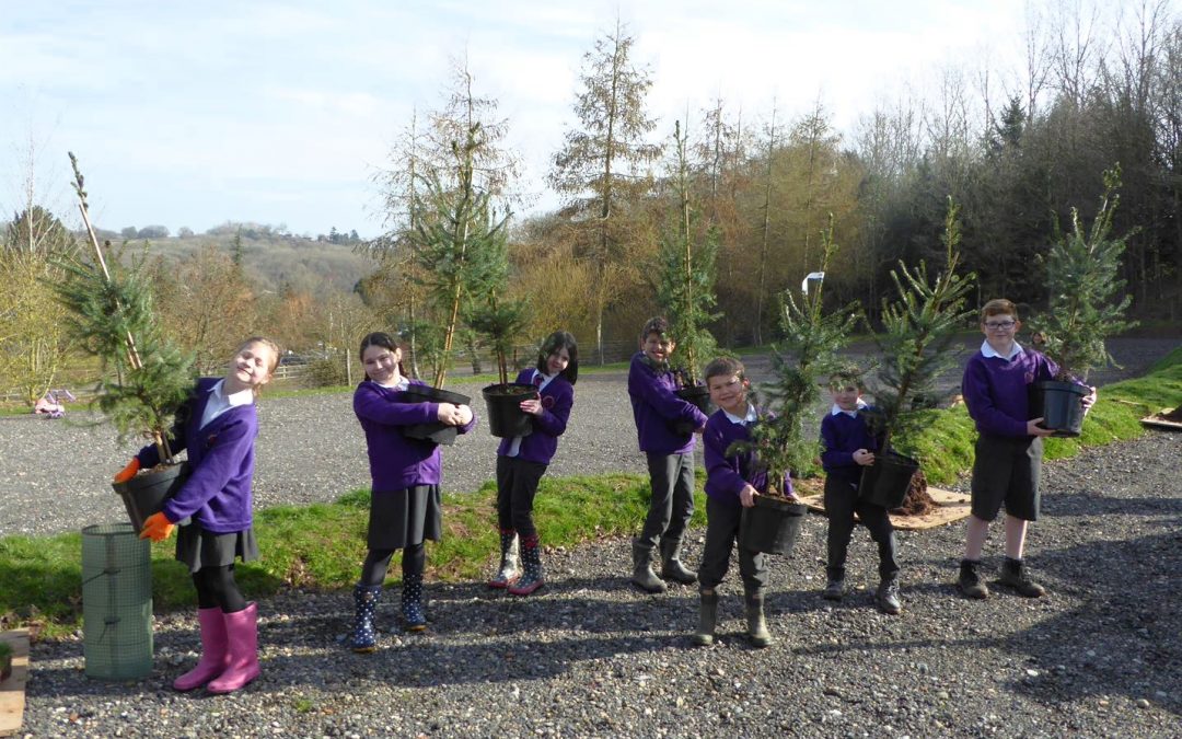 The Queen’s Green Canopy – planting trees for the Jubilee